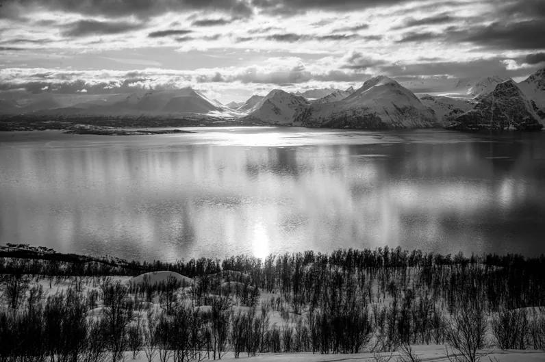 LYNGEN