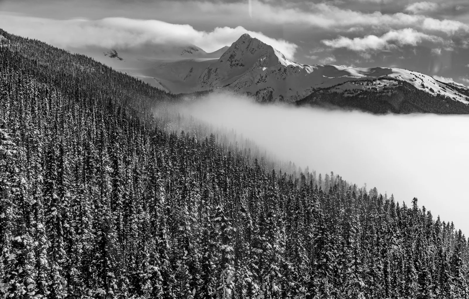 Mountain Life