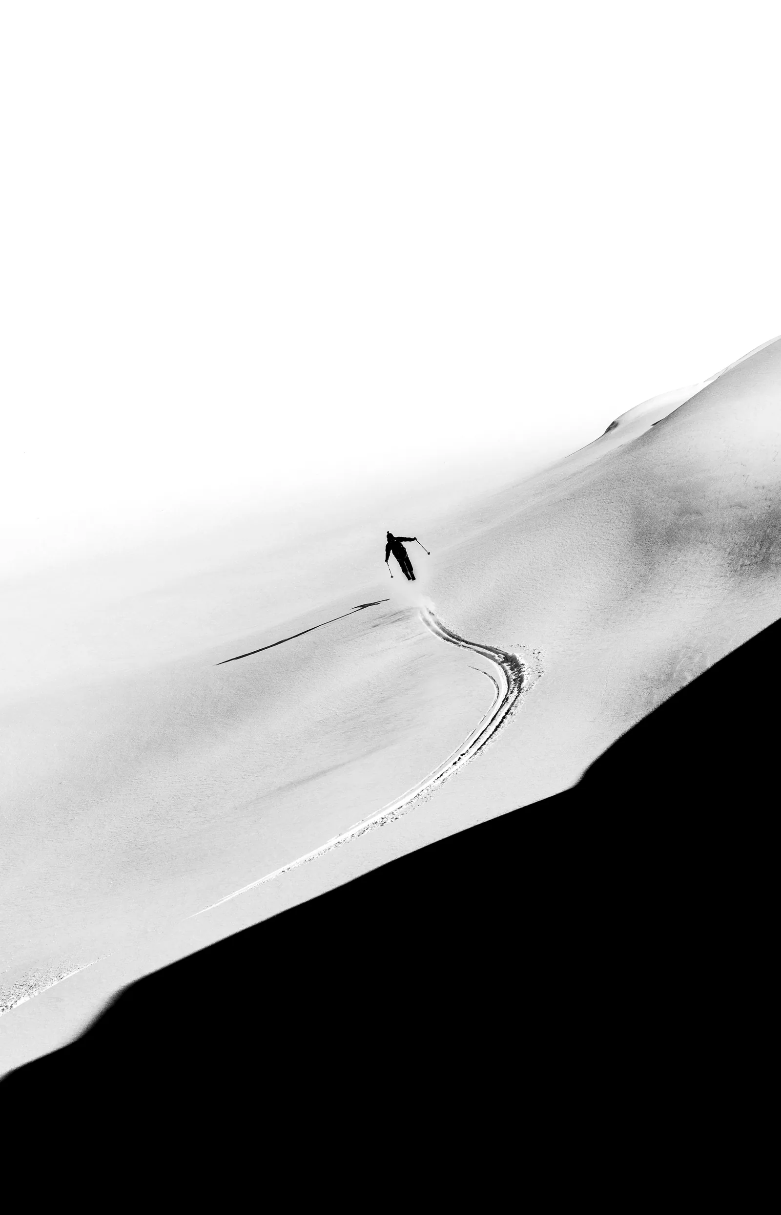 Out of the Shadows — Oskar Enander
