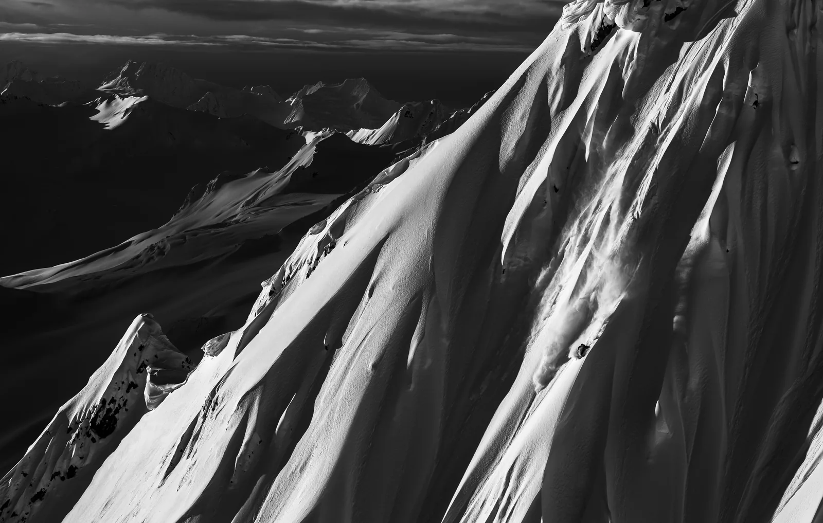 Out of the Shadows — Oskar Enander
