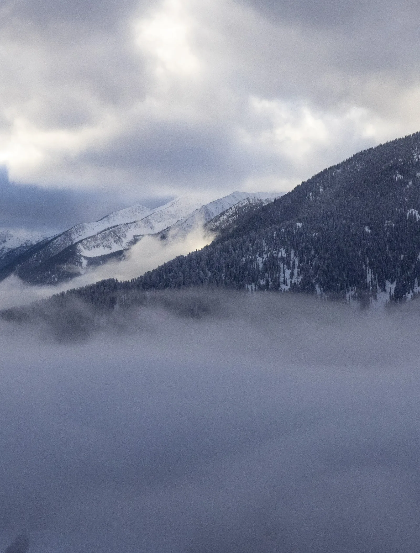 Whispers of the Mountain
